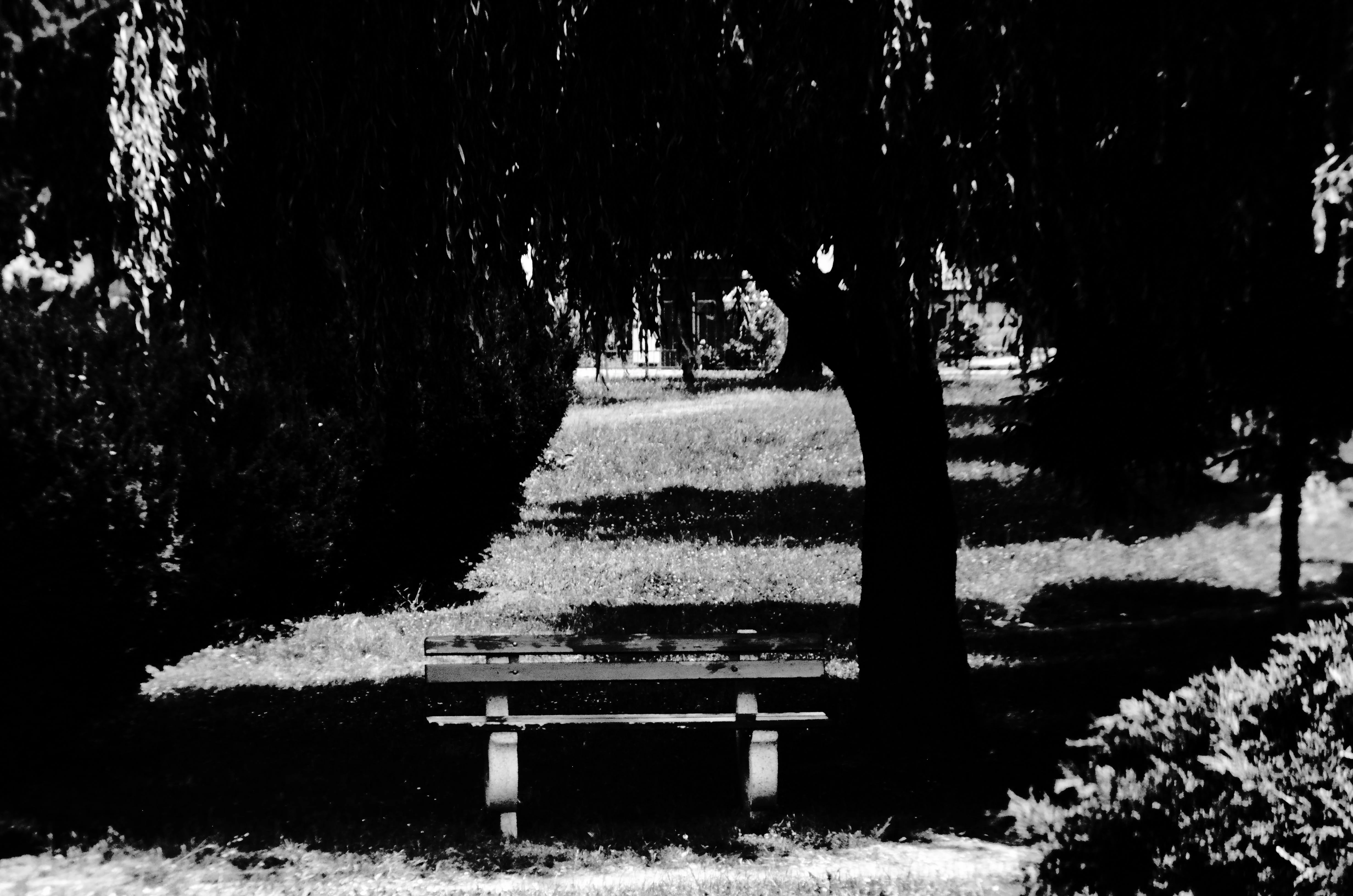 Park Janusza Korczaka