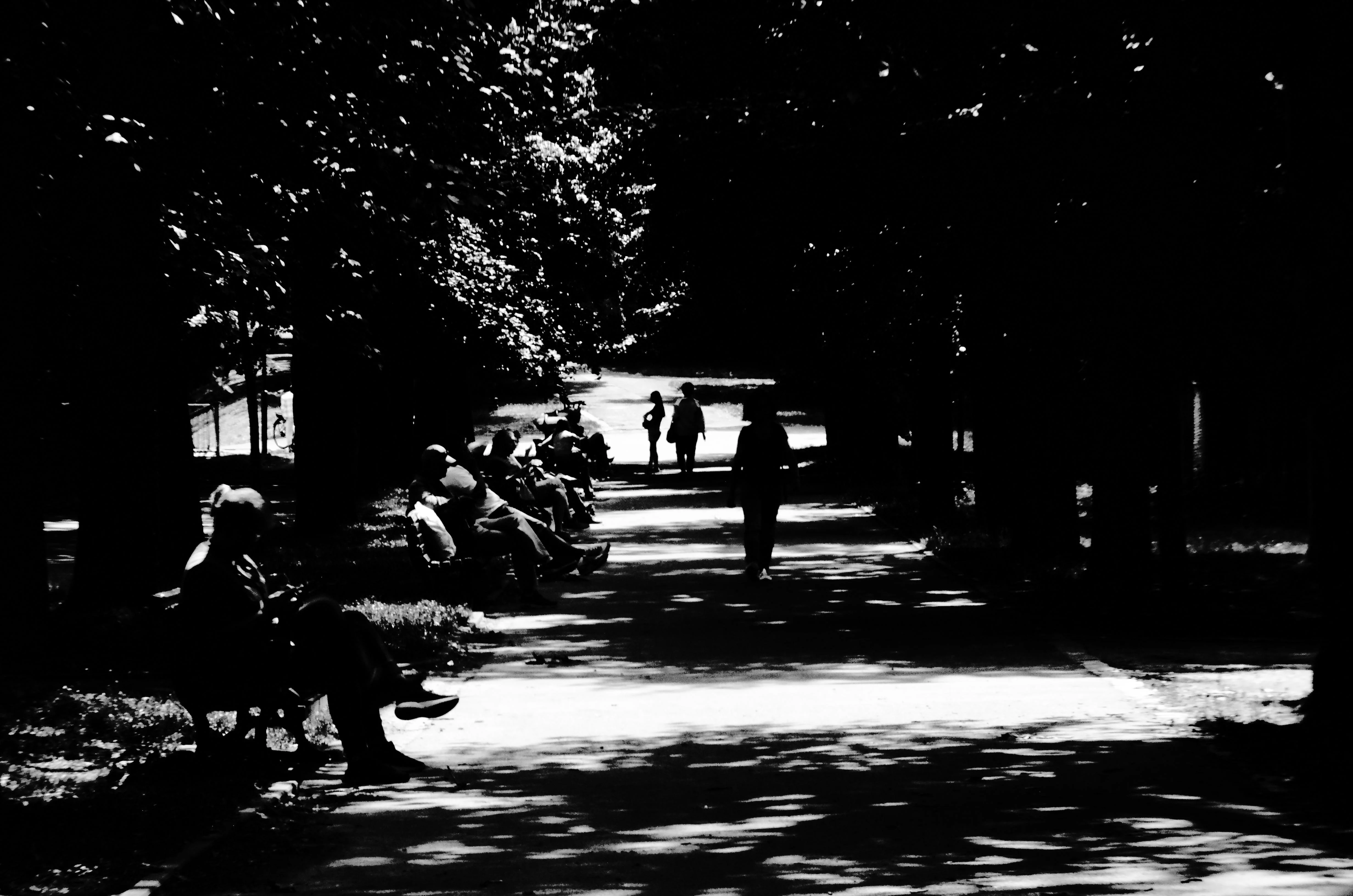 Przejdźmy się Promenadą Staromiejską...