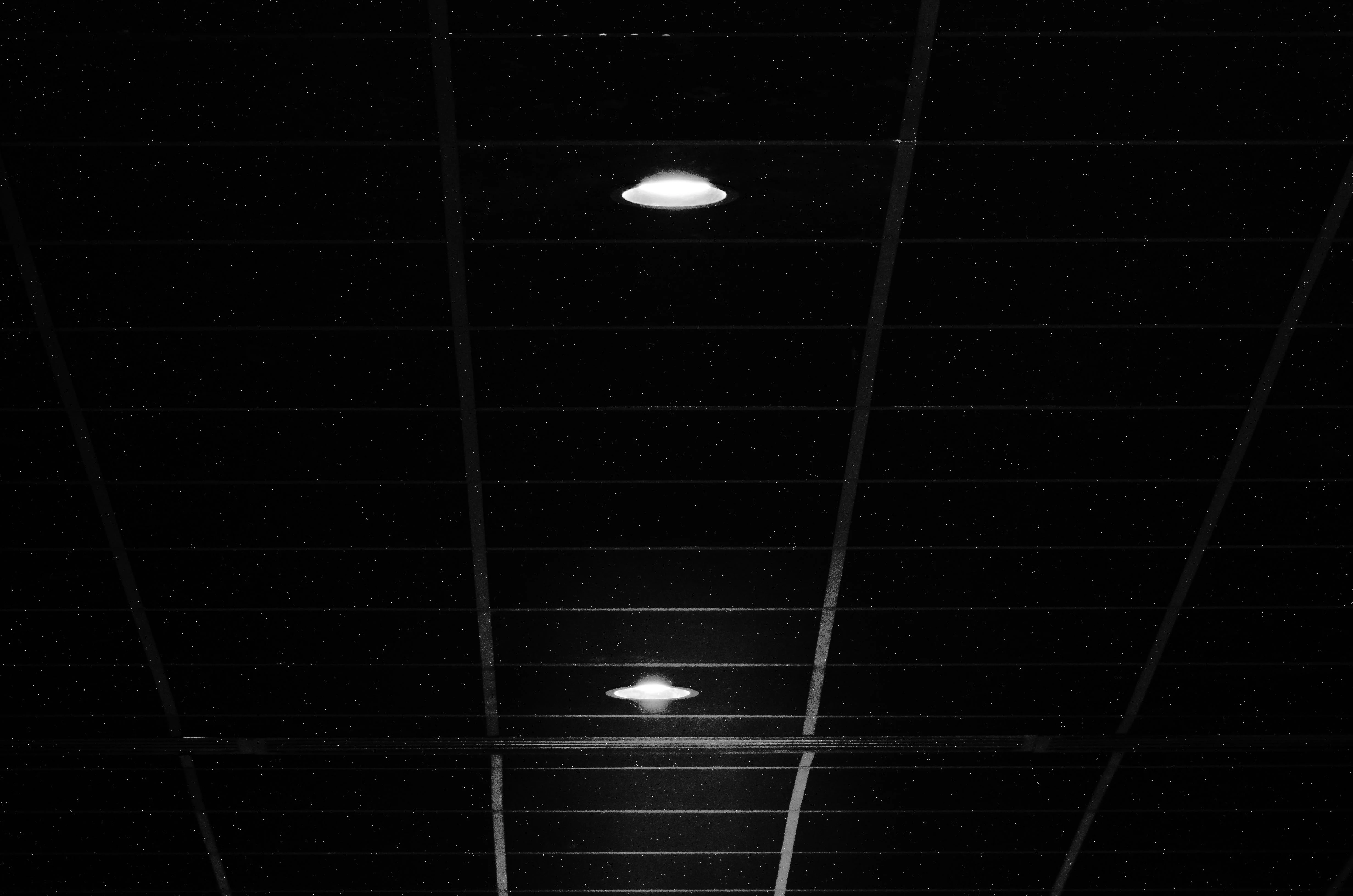 Dawid Jary „Oni przybyli”