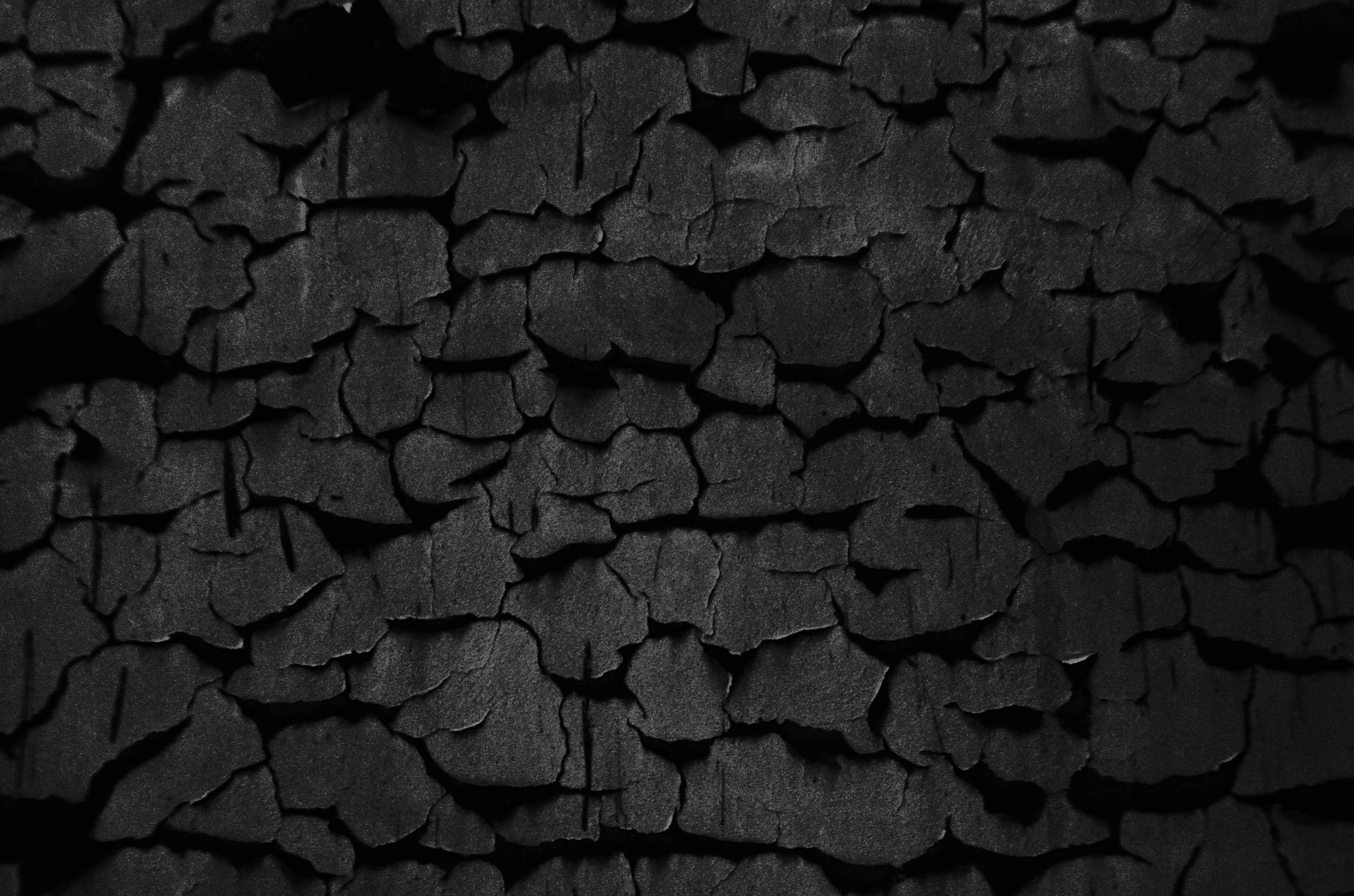 Dawid Jary "Farba na ścianie z kantorem"