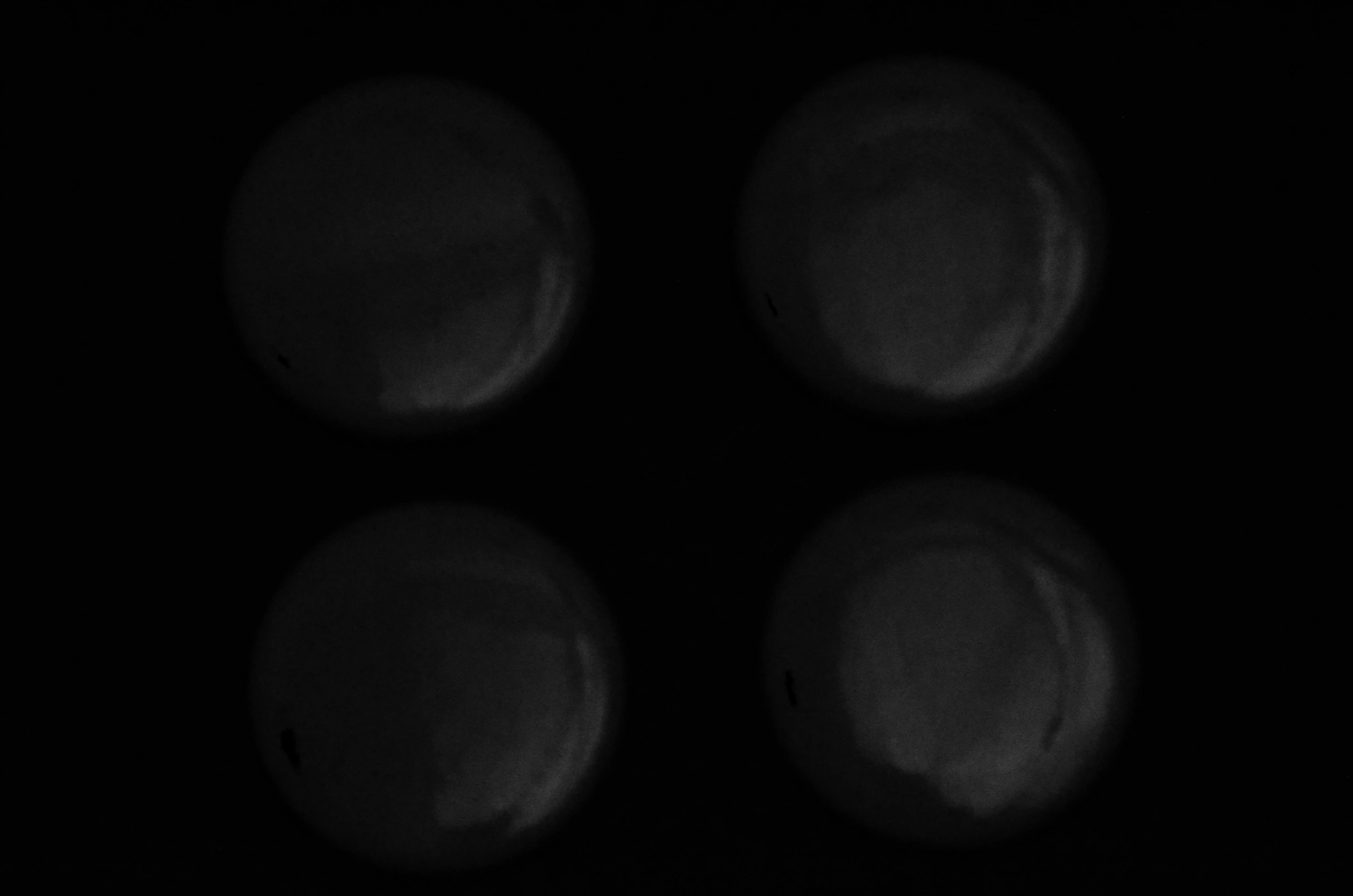 Czy chcesz stać się nieśmiertelną częścią sztuki? Stań przed naszym obiektywem!